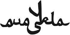 logo anayela
